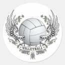 Pesquisar por voleibol adesivos Esporte