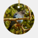 Pesquisar por azul jato ornamentos Natureza