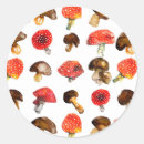 Pesquisar por amanita adesivos Outono
