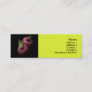 Pesquisar por maçã vermelha cartao de visita Comida