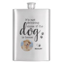 Pesquisar por cão engraçado cantis Animal