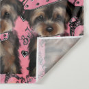 Pesquisar por poo fotografia Yorkie