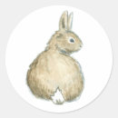 Pesquisar por bunny rabbit adesivos Floresta