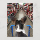 Pesquisar por natal comprar cartoes postais Xmas