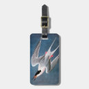 Pesquisar por andorinha bagagem tags Granger