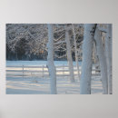 Pesquisar por wonderland pôsteres Neve