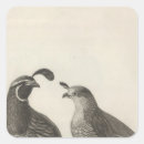 Pesquisar por perdiz adesivos Ilustração