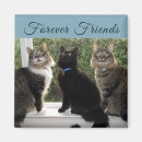 Pesquisar por janelas imas Qualquer pessoa