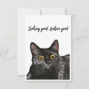 Pesquisar por amarelo do gato cartoes Animal