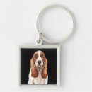 Pesquisar por basset hound chaveiros Filhote