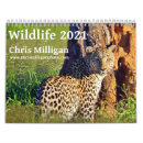 Pesquisar por rinoceronte calendarios Animais