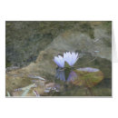 Pesquisar por waterlily Floral