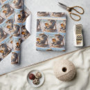 Pesquisar por urso koala papel de presente Vida selvagem