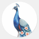 Pesquisar por peacock adesivos Natureza