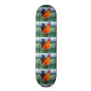 Pesquisar por animais de fazenda skates Galo