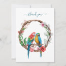 Pesquisar por papagaio de papel cartoes Papagaios