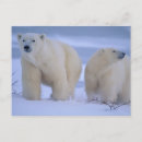 Pesquisar por cubo fotografia Neve