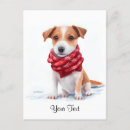 Pesquisar por jack russell terrier cartoes postais Cachorros