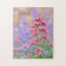 Pesquisar por flor cor de rosa roxa Flores