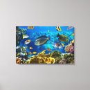 Pesquisar por recife tropical impressão de canvas Coral