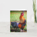 Pesquisar por galo personalizada papelaria Natureza