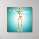 Pesquisar por pé anatomia artes pôsteres Biologia