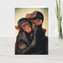 Pesquisar por chimpanzés cartoes Chimpanzé comum