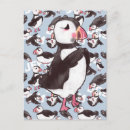 Pesquisar por arte do pinguim cartoes postais Pássaro