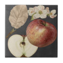 Pesquisar por fruta decorativa azulejos Botânico