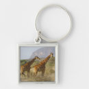 Pesquisar por girafa reticulated Animal