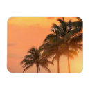 Pesquisar por miami imas Viagem