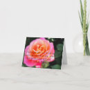 Pesquisar por anal cartoes Fotografia