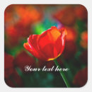 Pesquisar por felicitações adesivos Amor