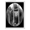 Pesquisar por primatas Macaco