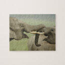 Pesquisar por elefante indiano quebra cabecas Corbett