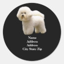 Pesquisar por fricção adesivos Bichon