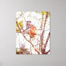 Pesquisar por patas impressão de canvas Natureza