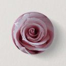 Pesquisar por delicado botons Rosa