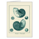 Pesquisar por vida marinha cartoes postais Concha vermelha