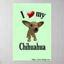 Pesquisar por eu amo cães pósteres pôsteres Chihuahua