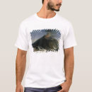 Pesquisar por lava roupas Cratera