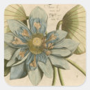 Pesquisar por flor dos lótus adesivos Azul