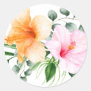 Pesquisar por flor alaranjada cor de rosa Botânico