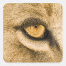 Pesquisar por kruger adesivos Animal