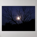 Pesquisar por fulgor da lua Luar