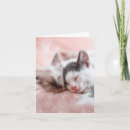 Pesquisar por charada cartoes Casal