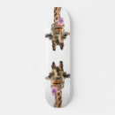Pesquisar por engraçados skates Animal
