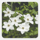 Pesquisar por kevin adesivos Flor