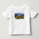Pesquisar por castelo de neuschwanstein camisetas Paisagem