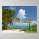 Pesquisar por caicos pôsteres Fotografia